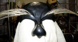 black dottore mask with long white horse hair eyebrows. The mask covers the forehead and nose only